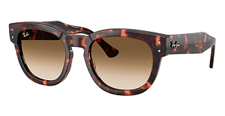 Ray-Ban RB0298S MEGA HAWKEYE