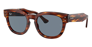 Ray-Ban RB0298SF MEGA HAWKEYE