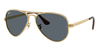 Ray-Ban RB3925 AVIATOR MAX